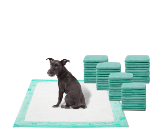 WizSmart All Day Dry Dog Pads Super 50 Count (3-Pack) – Eco-Friendly & Training-Ready