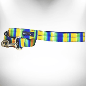 Tie Dye Dog Leads