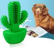 Cactus Shape Dog Toothbrush Stick - Natural Rubber Chew Toy