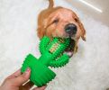 Cactus Shape Dog Toothbrush Stick - Natural Rubber Chew Toy