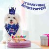 Dog Birthday Bandana & Hat Set - Party Supplies with Cute Banner Decorations