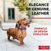 Long-Lasting Leather Dog Collar – Adjustable 8-11" for Small & XSmall Dogs