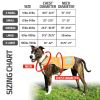 Soft Shell Waterproof Dog Vest (L Size) – Blaze Orange Reflective Jacket with Fleece Lining