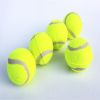 3pcs Interactive Dog Toy Set - Micro Elastic Tennis Balls for Training