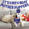 Dog Birthday Bandana & Hat Set - Party Supplies with Cute Banner Decorations
