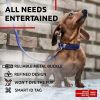 Long-Lasting Leather Dog Collar – Adjustable 8-11" for Small & XSmall Dogs