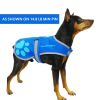 Blue Reflective Dog Safety Vest (XS Size) – Hi-Vis Fluorescent Vest with Utility Strap for Small Dogs