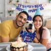 Dog Birthday Bandana & Hat Set - Party Supplies with Cute Banner Decorations