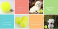 3pcs Interactive Dog Toy Set - Micro Elastic Tennis Balls for Training