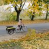 Foldable Bicycle Cargo Wagon Trailer - Two-Wheel with 15.8" Wheels & Removable Cover (176 lbs Capacity)
