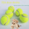 3pcs Interactive Dog Toy Set - Micro Elastic Tennis Balls for Training