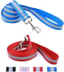 Da Boon Original Double-Sided Reflective Dog Leash – Ultra-Visible Safety Leash for Night Walks (Color: Blue)