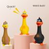 Pet Latex Bite Toy - Big Mouth Duck & Standing Chicken