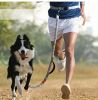 Hands-Free Dog Leash – Dual Handle Waist Leash with Reflective Bungee