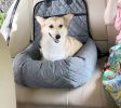 Pet Life "Pawtrol" Travel Carseat & Pet Bed – Dual Converting Safety Design
