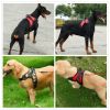 Dog Chest Strap – Explosion-Proof Traction Rope for Secure Control