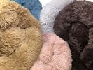 Pet Life "Nestler" High-Grade Plush Rounded Dog Bed