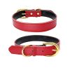 Genuine Leather Dog Collar – Wide, Soft Padded, Adjustable & Waterproof