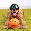 Dog Glasses for Small Breeds - UV Goggles with Adjustable Straps