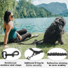 Hands-Free Dog Leash – Dual Handle Waist Leash with Reflective Bungee